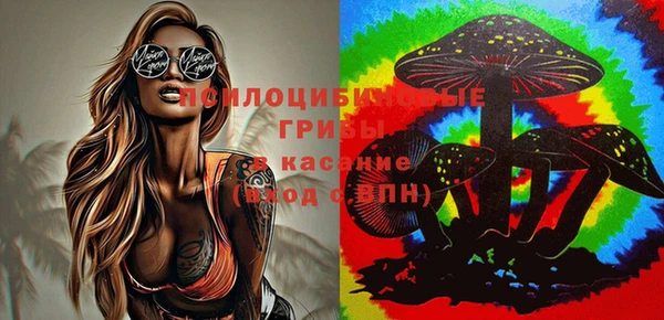 ECSTASY Белоозёрский
