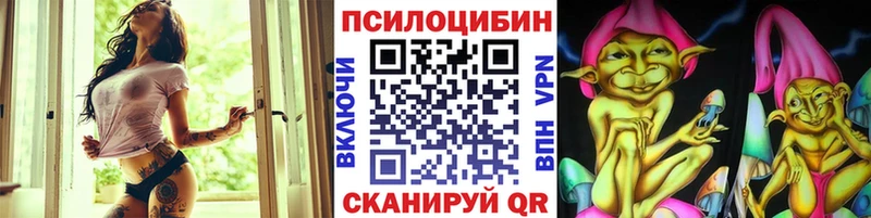 Псилоцибиновые грибы мицелий  что такое наркотик  Михайлов 